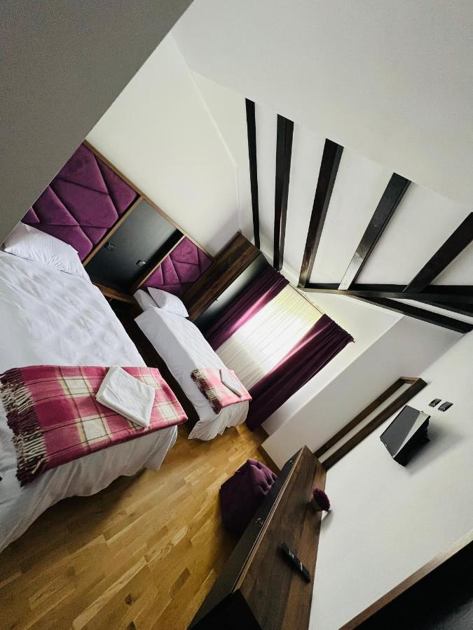 Pensiunea Mândruleanu Borşa Exterior foto