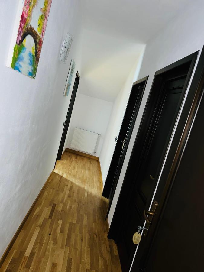 Pensiunea Mândruleanu Borşa Exterior foto